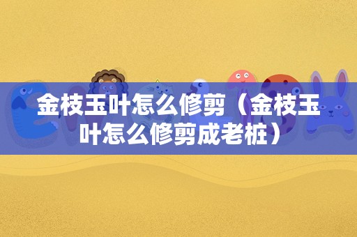 金枝玉叶怎么修剪（金枝玉叶怎么修剪成老桩）