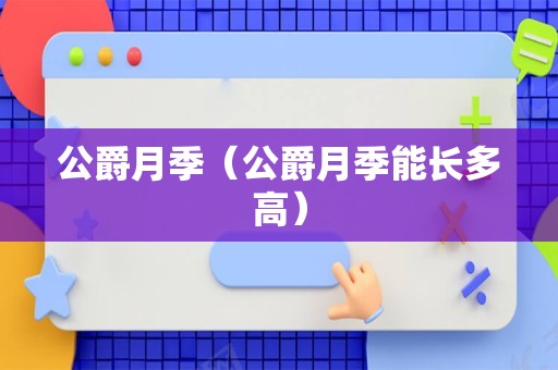 公爵月季（公爵月季能长多高）