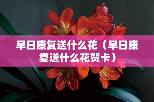 早日康复送什么花（早日康复送什么花贺卡）