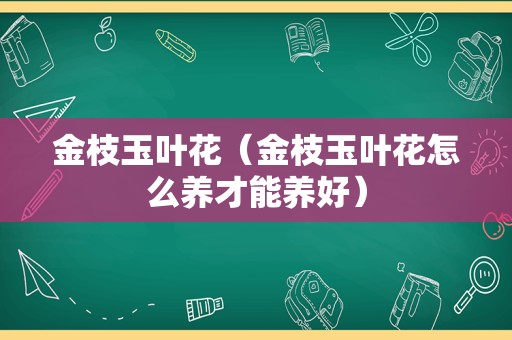 金枝玉叶花（金枝玉叶花怎么养才能养好）