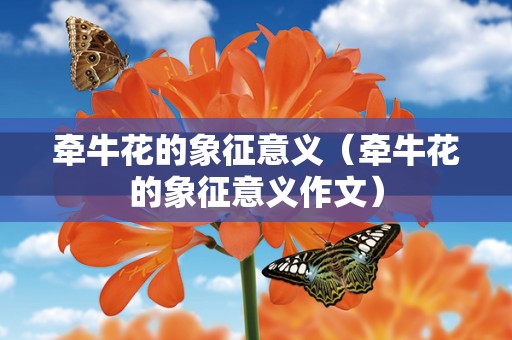 牵牛花的象征意义（牵牛花的象征意义作文）