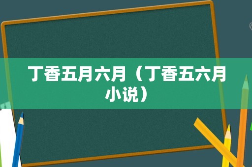 丁香五月六月（丁香五六月小说）