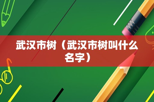 武汉市树（武汉市树叫什么名字）