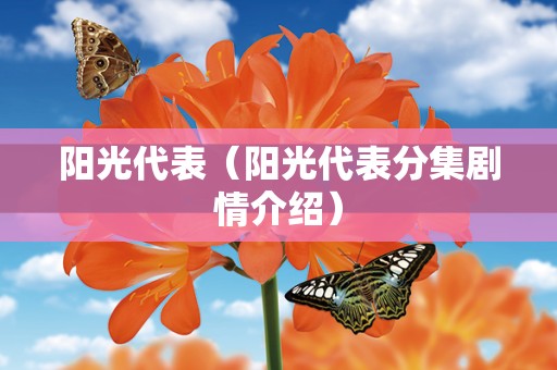 阳光代表（阳光代表分集剧情介绍）