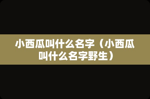 小西瓜叫什么名字（小西瓜叫什么名字野生）