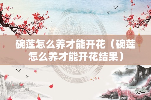 碗莲怎么养才能开花（碗莲怎么养才能开花结果）