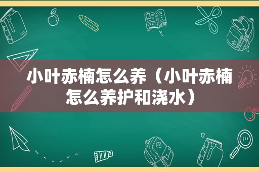 小叶赤楠怎么养（小叶赤楠怎么养护和浇水）