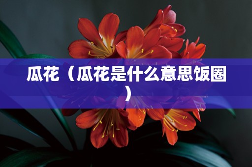 瓜花（瓜花是什么意思饭圈）