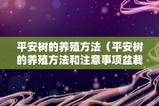 平安树的养殖方法（平安树的养殖方法和注意事项盆栽发财树）