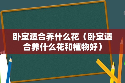 卧室适合养什么花（卧室适合养什么花和植物好）