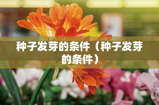 种子发芽的条件（种子发芽的条件）