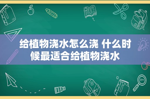 给植物浇水怎么浇 什么时候最适合给植物浇水