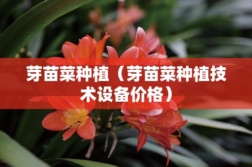 芽苗菜种植（芽苗菜种植技术设备价格）