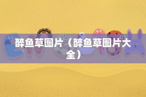 醉鱼草图片（醉鱼草图片大全）