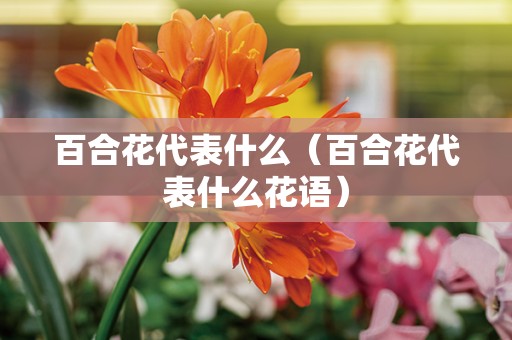 百合花代表什么（百合花代表什么花语）