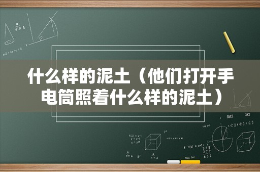 什么样的泥土（他们打开手电筒照着什么样的泥土）