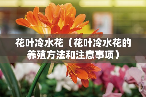 花叶冷水花（花叶冷水花的养殖方法和注意事项）