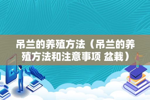 吊兰的养殖方法（吊兰的养殖方法和注意事项 盆栽）