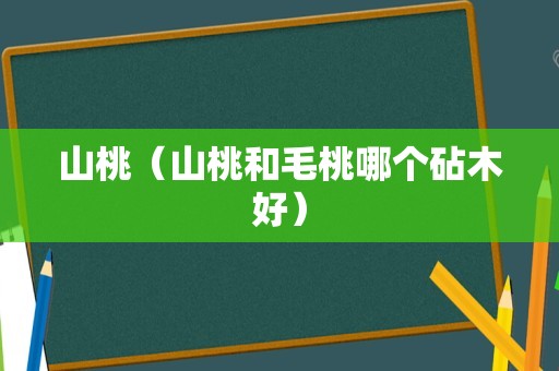 山桃（山桃和毛桃哪个砧木好）