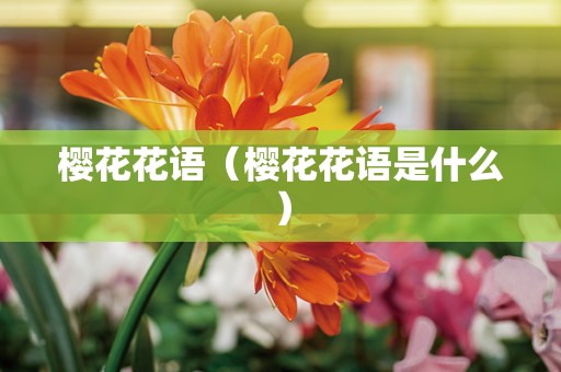 樱花花语（樱花花语是什么）