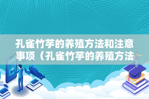 孔雀竹芋的养殖方法和注意事项（孔雀竹芋的养殖方法和注意事项 盆栽）