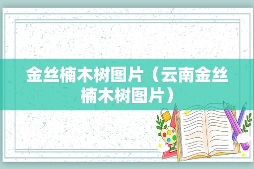 金丝楠木树图片（云南金丝楠木树图片）