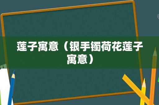 莲子寓意（银手镯荷花莲子寓意）