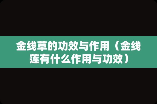 金线草的功效与作用（金线莲有什么作用与功效）