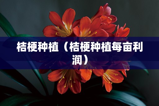 桔梗种植（桔梗种植每亩利润）