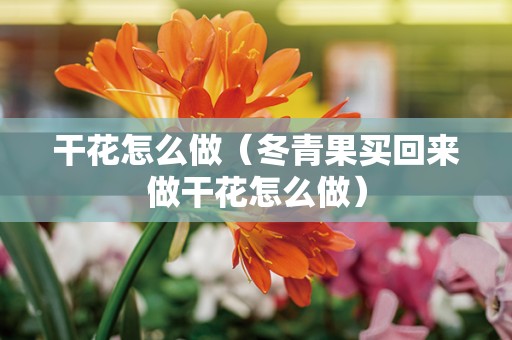 干花怎么做（冬青果买回来做干花怎么做）