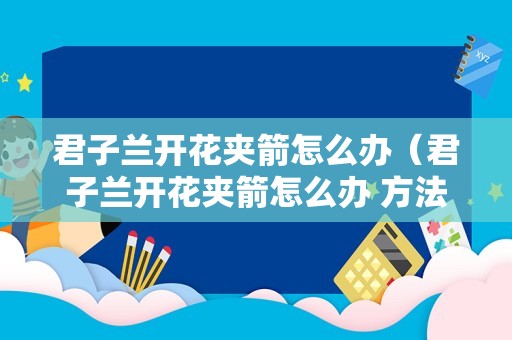 君子兰开花夹箭怎么办（君子兰开花夹箭怎么办 方法）