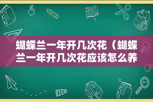 蝴蝶兰一年开几次花（蝴蝶兰一年开几次花应该怎么养蝴蝶兰）