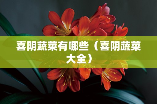 喜阴蔬菜有哪些（喜阴蔬菜大全）