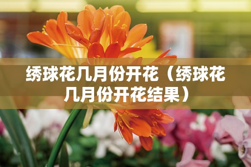 绣球花几月份开花（绣球花几月份开花结果）