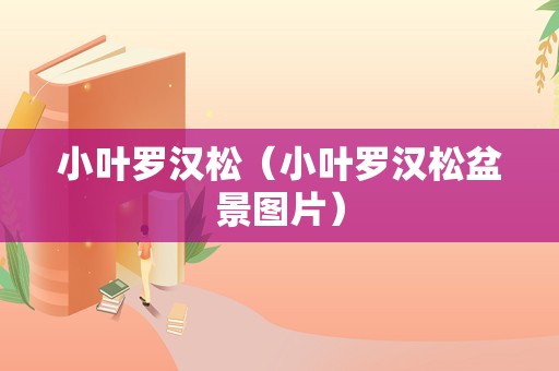 小叶罗汉松（小叶罗汉松盆景图片）