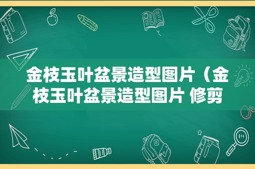 金枝玉叶盆景造型图片（金枝玉叶盆景造型图片 修剪）