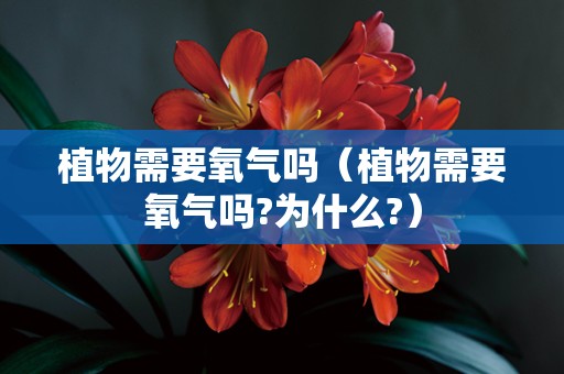 植物需要氧气吗（植物需要氧气吗?为什么?）