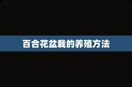 百合花盆栽的养殖方法