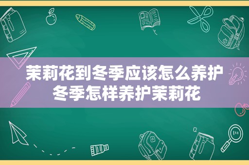 茉莉花到冬季应该怎么养护 冬季怎样养护茉莉花