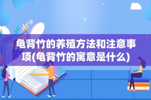 龟背竹的养殖方法和注意事项(龟背竹的寓意是什么)