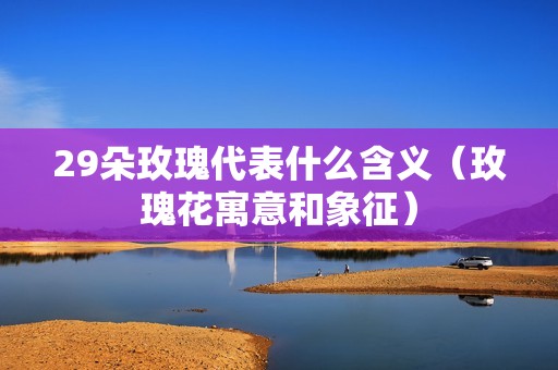 29朵玫瑰代表什么含义（玫瑰花寓意和象征）