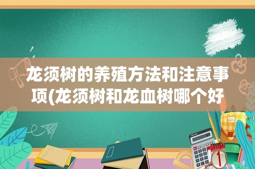 龙须树的养殖方法和注意事项(龙须树和龙血树哪个好)