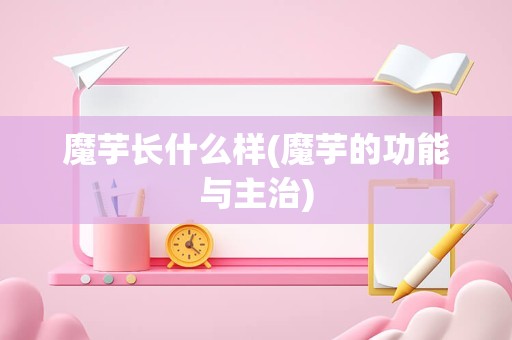 魔芋长什么样(魔芋的功能与主治)