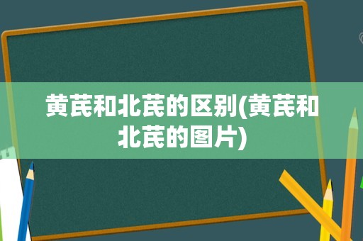 黄芪和北芪的区别(黄芪和北芪的图片)