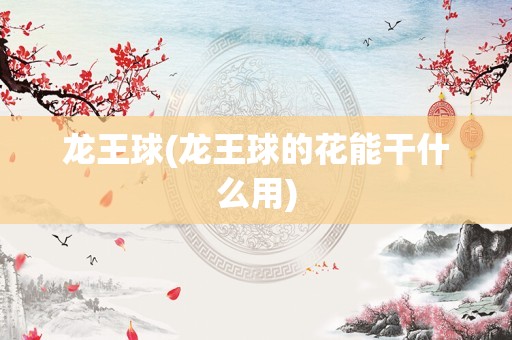 龙王球(龙王球的花能干什么用)