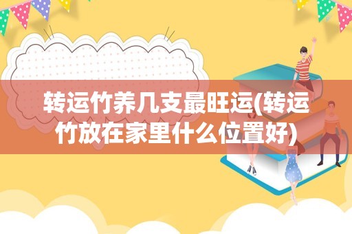 转运竹养几支最旺运(转运竹放在家里什么位置好)