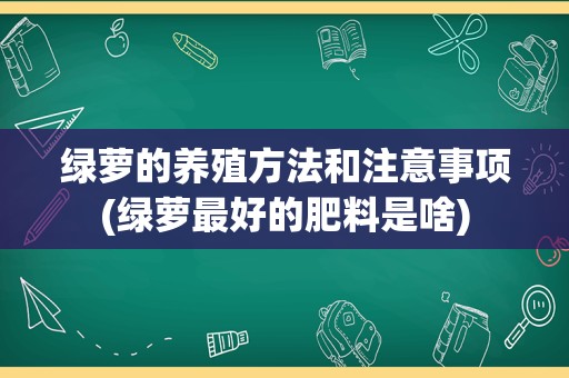 绿萝的养殖方法和注意事项(绿萝最好的肥料是啥)