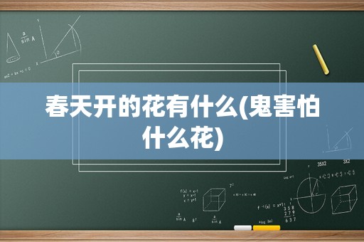 春天开的花有什么(鬼害怕什么花)