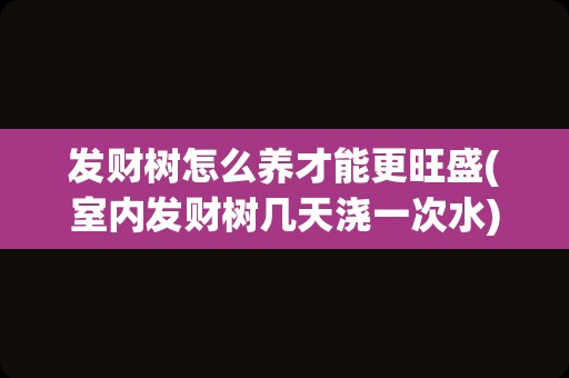 发财树怎么养才能更旺盛(室内发财树几天浇一次水)