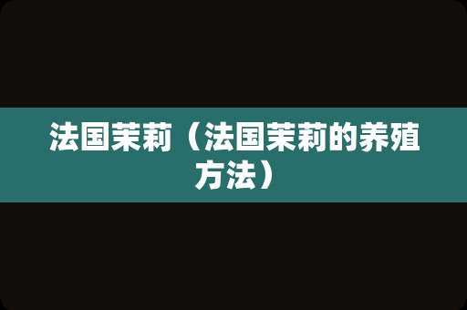 法国茉莉（法国茉莉的养殖方法）